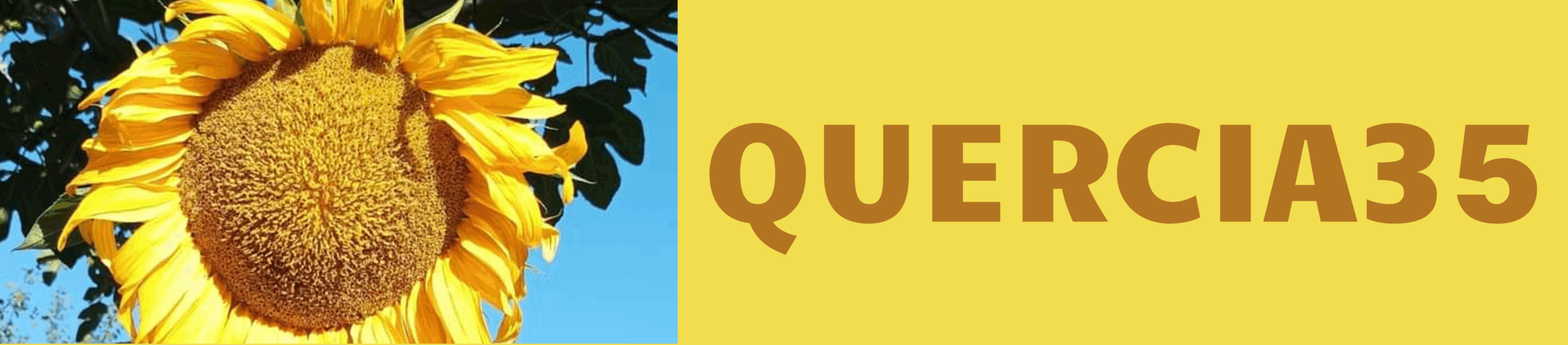 QUERCIA 35